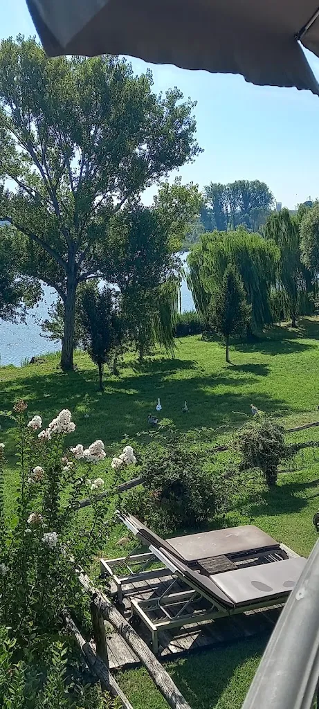 Letizia Mugnai_Le Ali del Frassino_Frassino_review