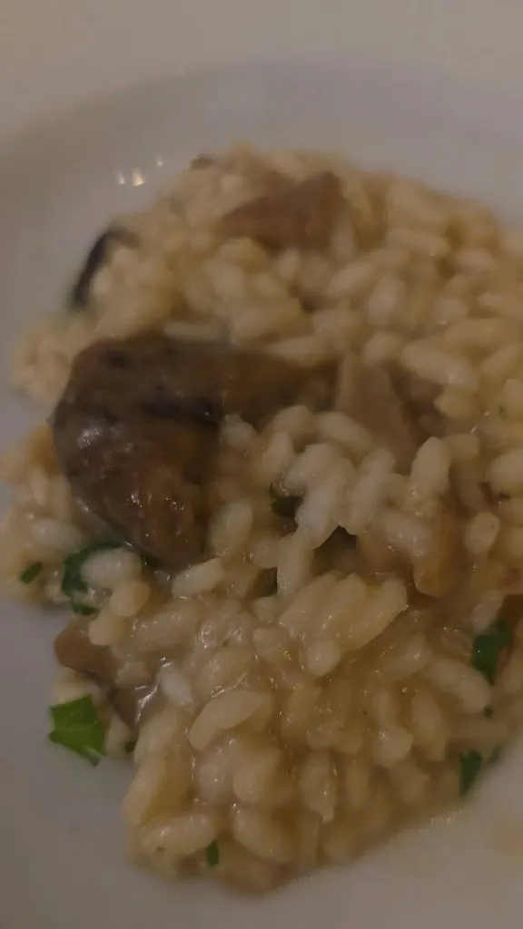 Nuovo Cicot_Frinco_slider_image_2