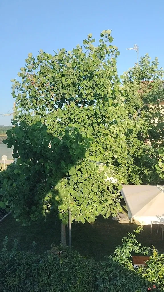 La Tenuta di Santo Stefano Agri-Resort e Spa_Fossano_slider_image_2