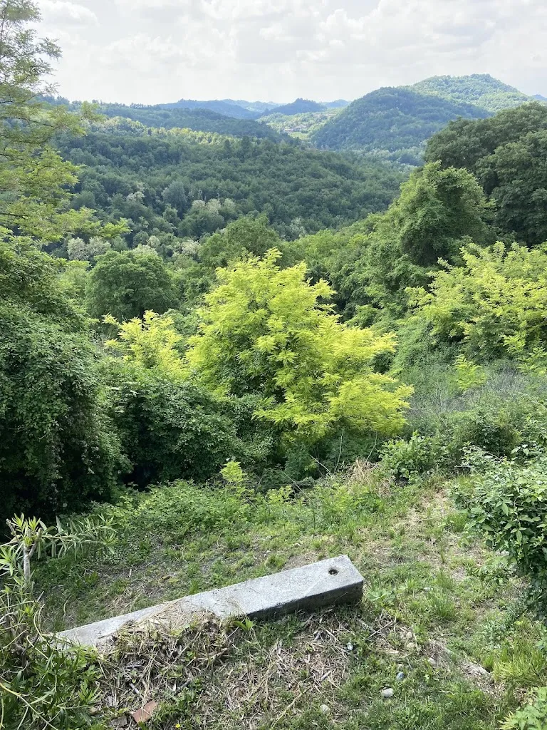 Marco Scellato_La Stamberga Del Drago_Gabiano_review