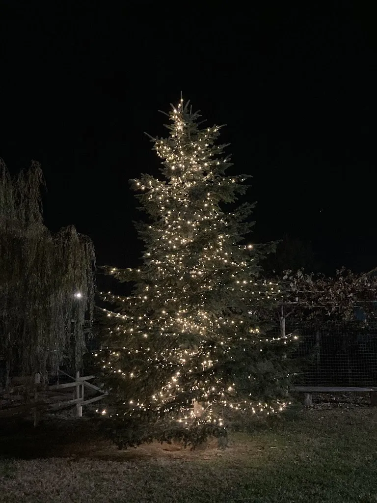 ella ornella_Cascina Granello di Senape_Frossasco_review