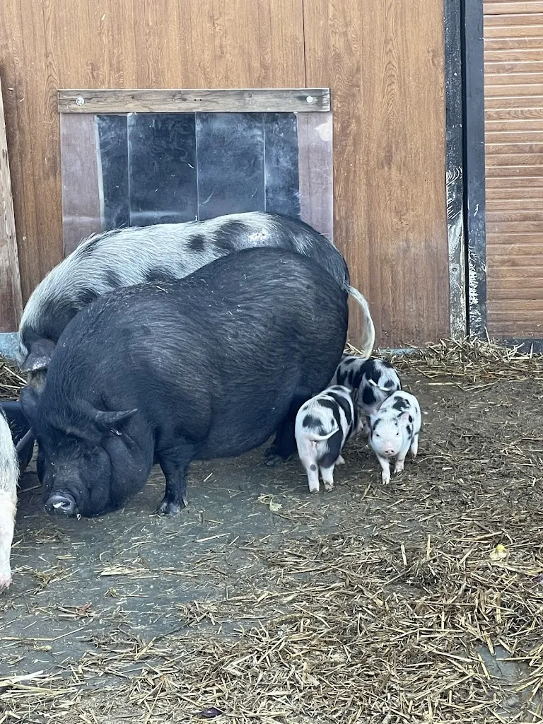 Marco Ferreira_Cascina Granello di Senape_Frossasco_review