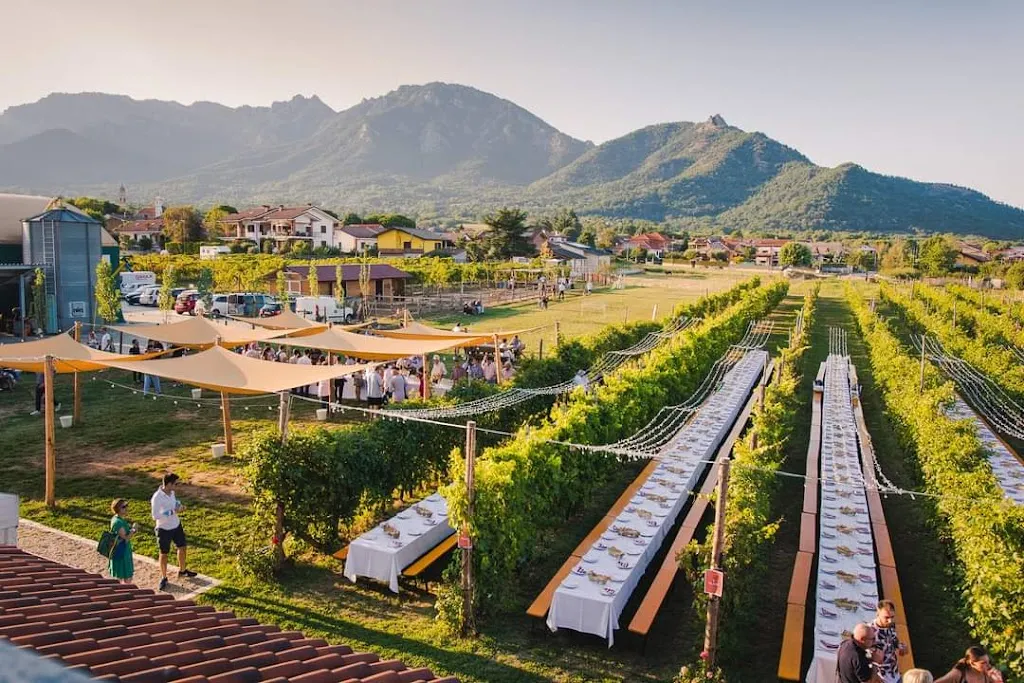 Cascina Granello di Senape_Frossasco_slider_image_1