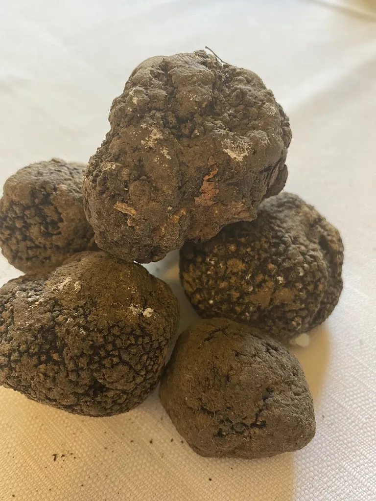 Menu_La Genzianella_Garadassi_image_6