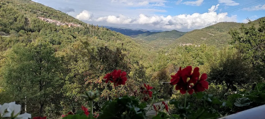 Albergo Ristorante Da Rico_Garadassi_slider_image_3