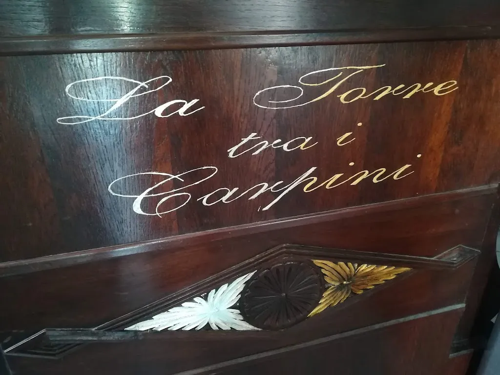Diego Pellacani_La Torre Tra i Carpini_Garbagna Novarese_review