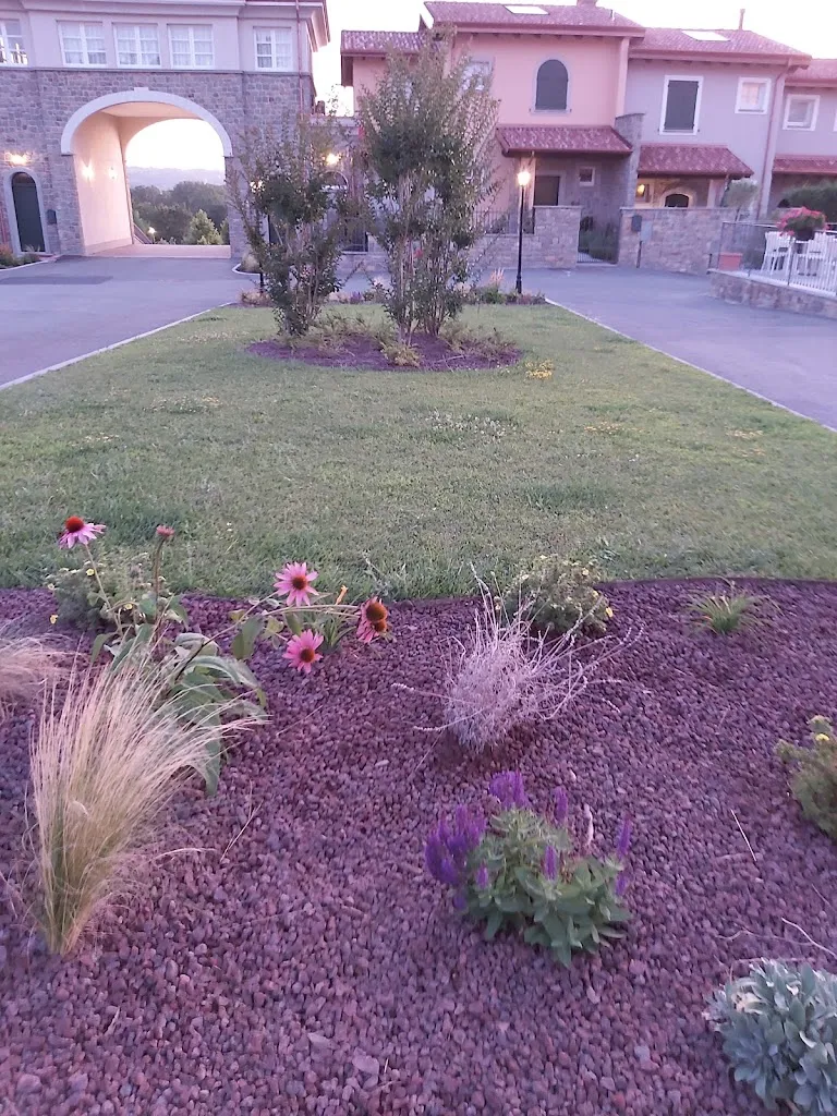 Mohamad Bazzi_St. George_Francavilla Bisio_review