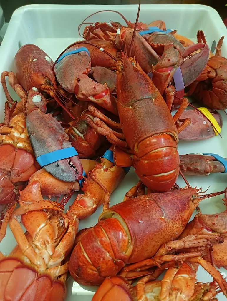 Menu_Ristorante La corte di Raffi 4_Francavilla Bisio_image_9