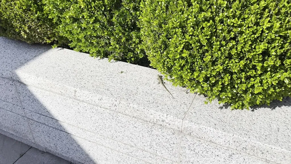 Designer Outlet Serravalle_Francavilla Bisio_slider_image_2