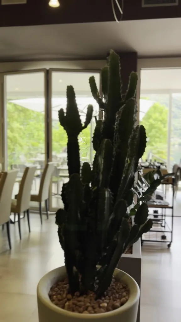 Ristorante Punti di Vista_Gabbio-Cereda-Ramate_slider_image_2