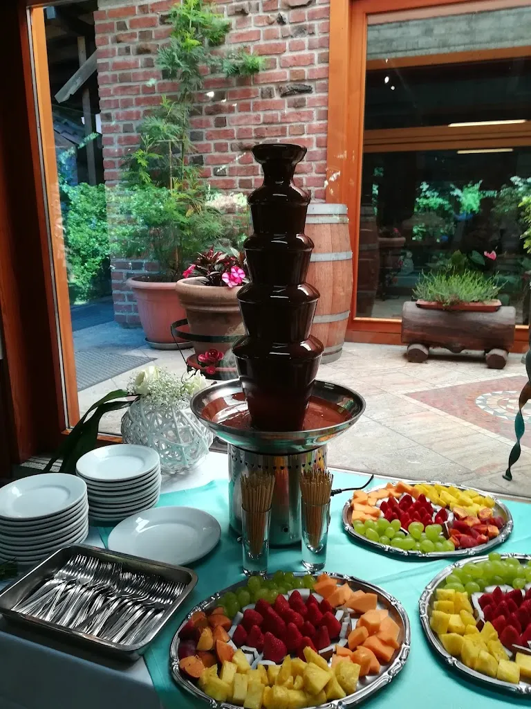 Menu_Ristorante Villa Pedrini_Galliate_image_4