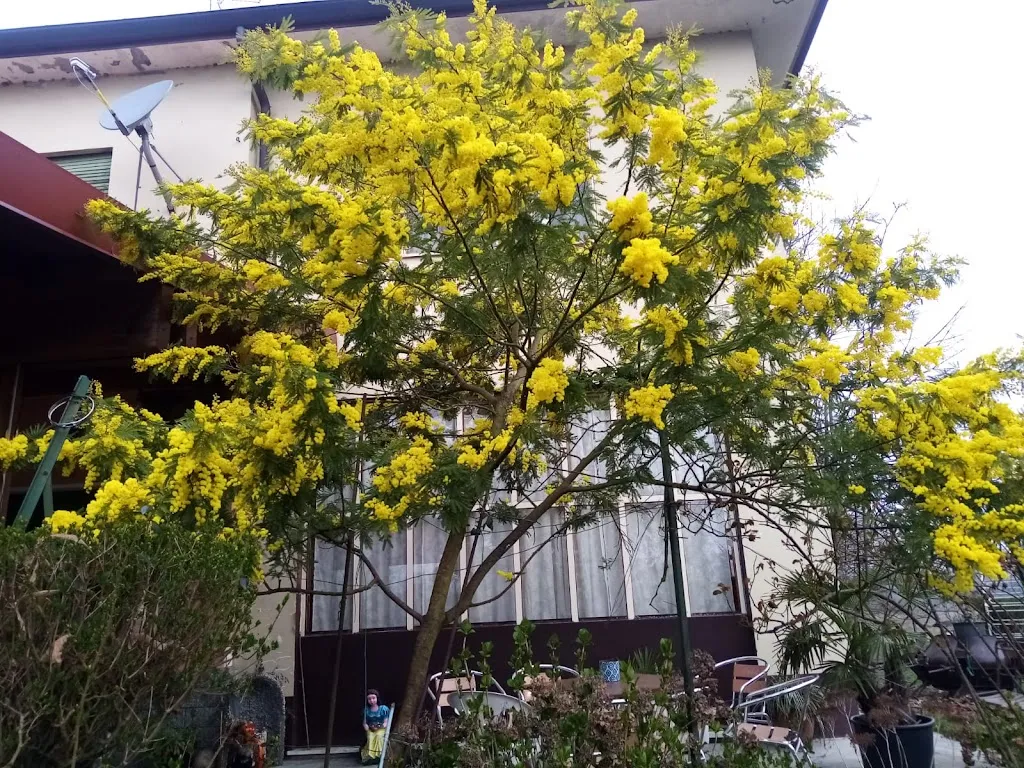 Sette Fontane_Galliate_slider_image_3