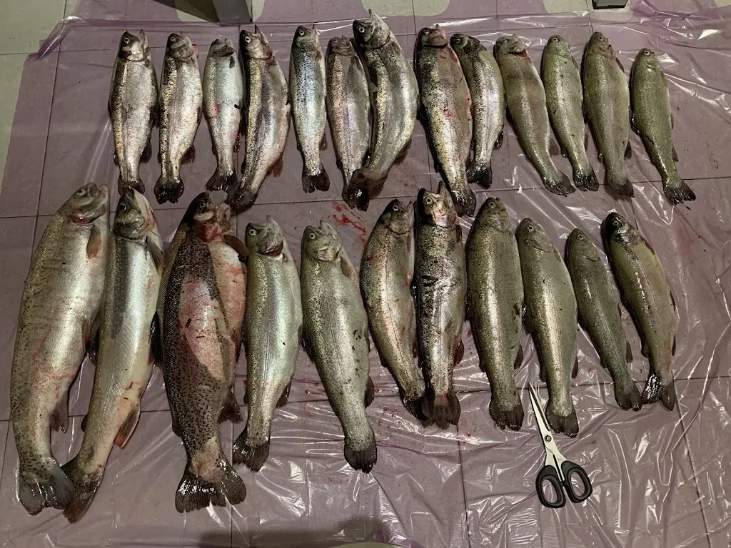 Menu_Bar Ristorante Nuovo Lago Maggiore_Galliate_image_9