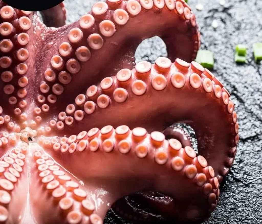 Menu_Spaghetti House_Cerignola_image_7