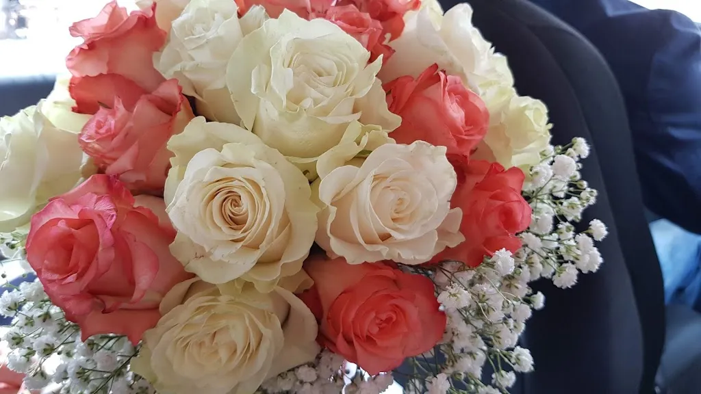 I Tre Moschettieri_Ghislarengo_slider_image_2