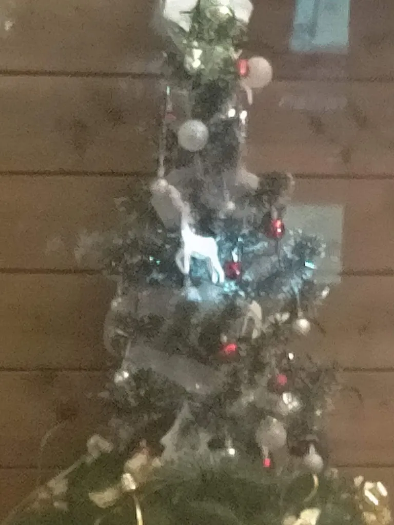 Graziella Gallello_Ristorante Villa Liberty_Gifflenga_review