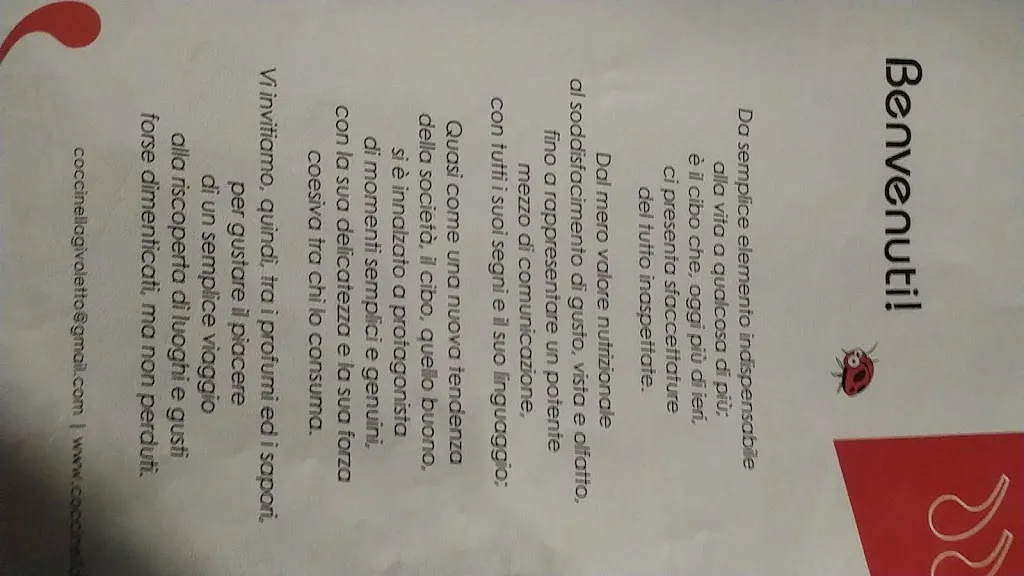 Menu_Agriturismo-Agripizzeria Coccinella_Givoletto_image_2