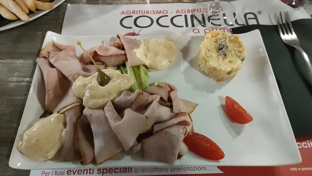 Menu_Agriturismo-Agripizzeria Coccinella_Givoletto_image_4