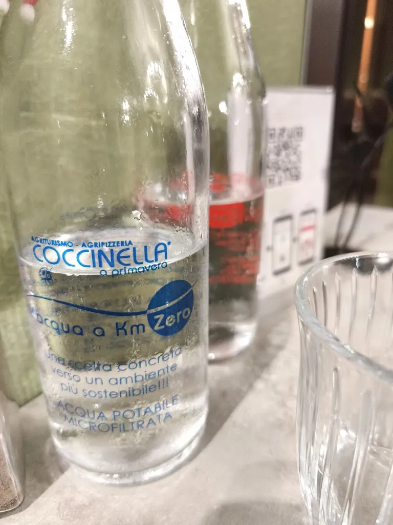 Giuseppe Milioti_Agriturismo-Agripizzeria Coccinella_Givoletto_review