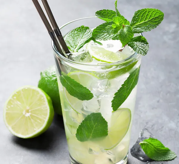 Menu_IL VERO PANUOZZO - Il giardino dello streetfood_Givoletto_image_4