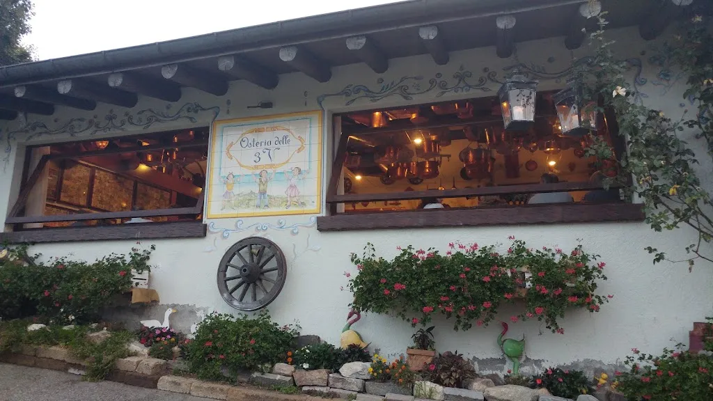 ניר עדין_Tre V S.a.s. di Molinari Antonio & C_Gignese_review