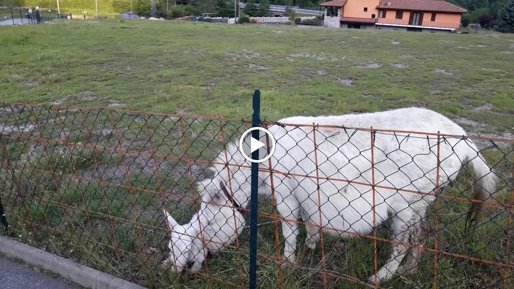 Agriturismo La Miniera_Gignese_slider_image_2