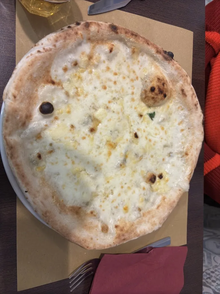 Rollo_Pizzeria Forno A Legna_Gerbido_review