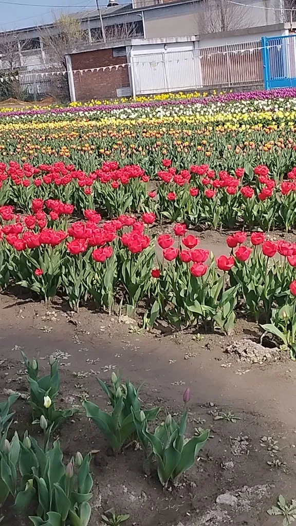 Agriturismo Cascina Duc_Gerbido_slider_image_2