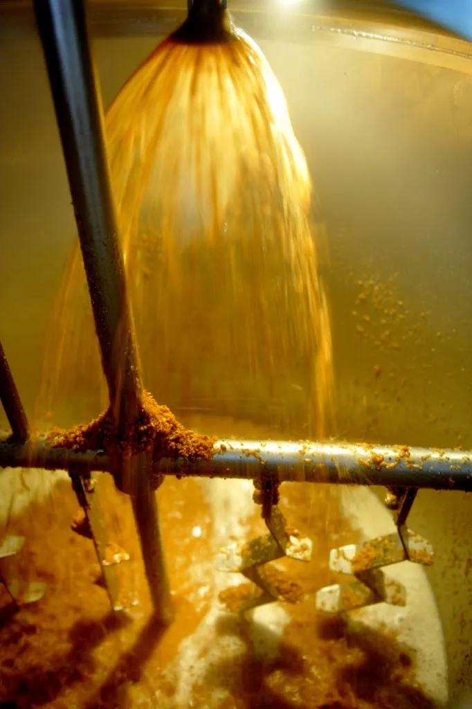 Menu_Birrificio Aleghe_Giaveno_image_8