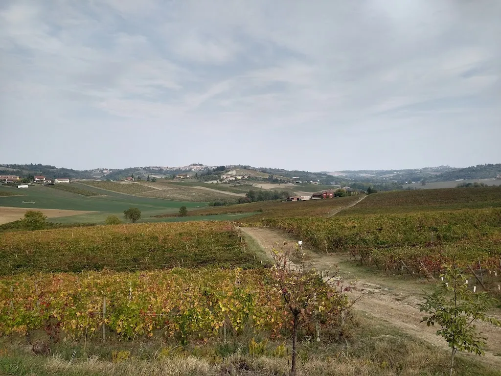 BASE Monferrato_Grazzano Badoglio_slider_image_2