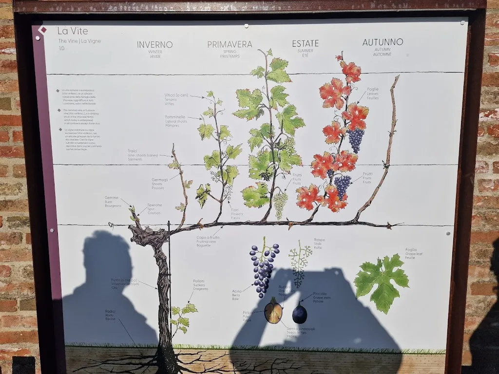 Menu_Vineria Sisu_Grinzane Cavour_image_3