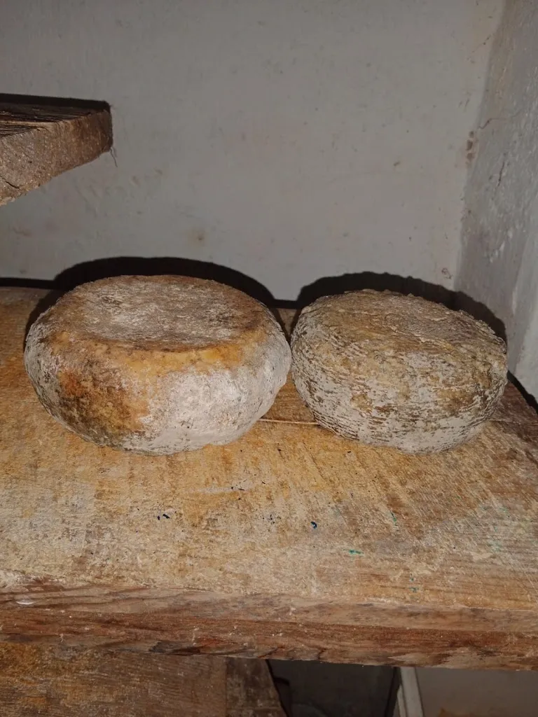 Menu_BAR BOTTEGA LA FLECCIA_Inverso Pinasca_image_8