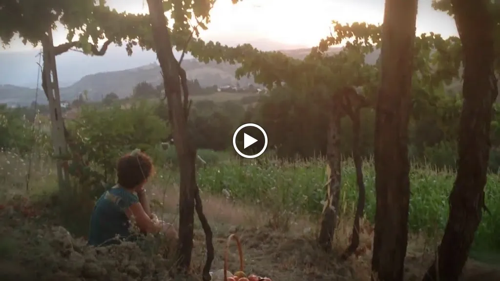 Ristorante Pizzeria La Siesta_Casalincontrada_slider_image_2