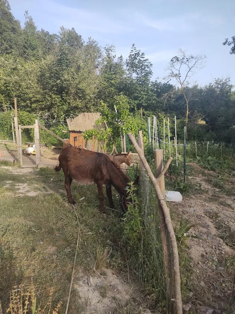 La Casa di Babu_Lequio Berria_slider_image_2