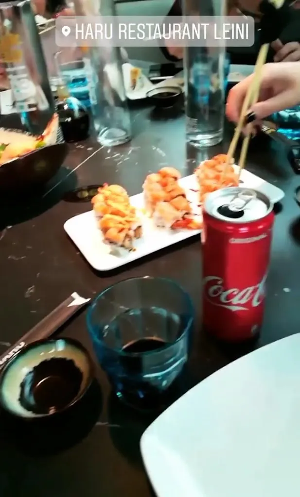 Haru Restaurant_Leini_slider_image_2