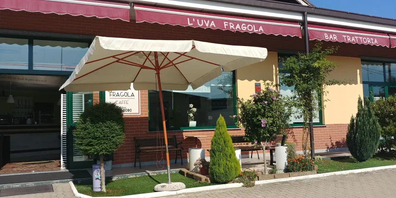 Trattoria L'Uva Fragola_Leini_slider_image_1