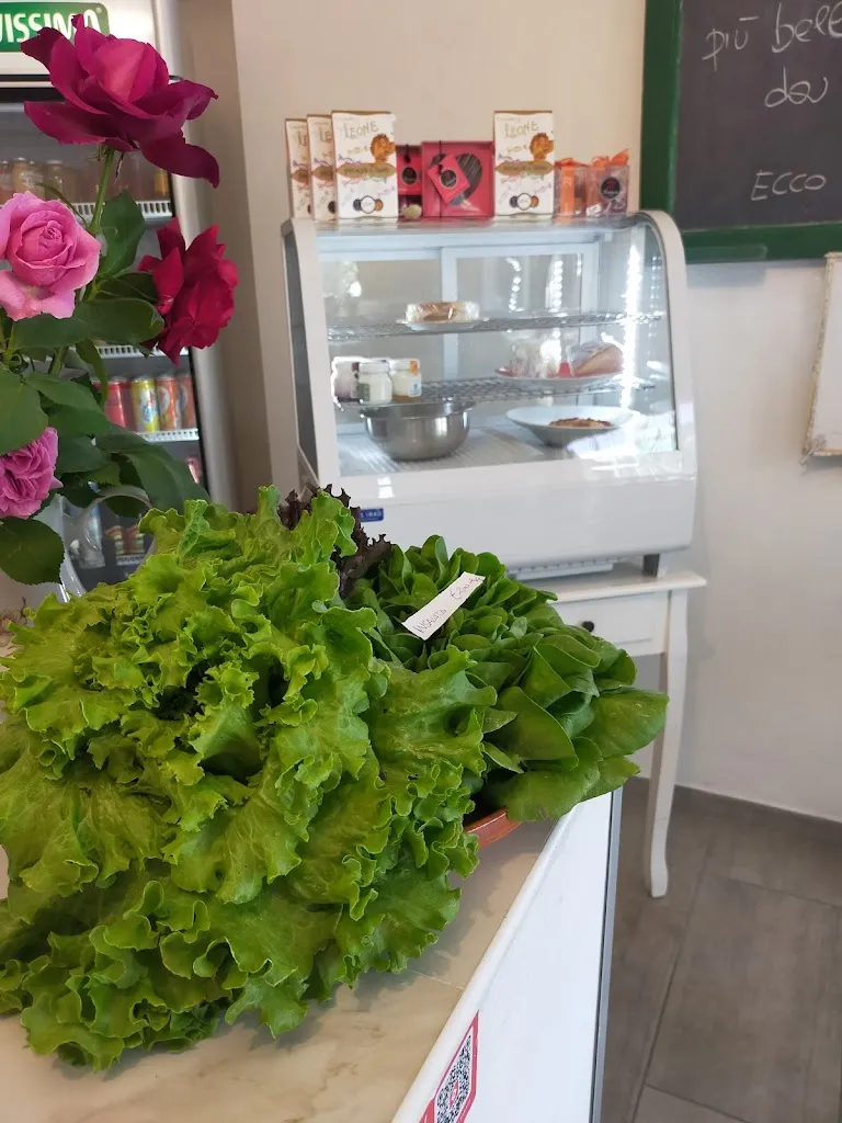 Chiara alterio_Trattoria La Cucina della Nonna_Leini_recensione