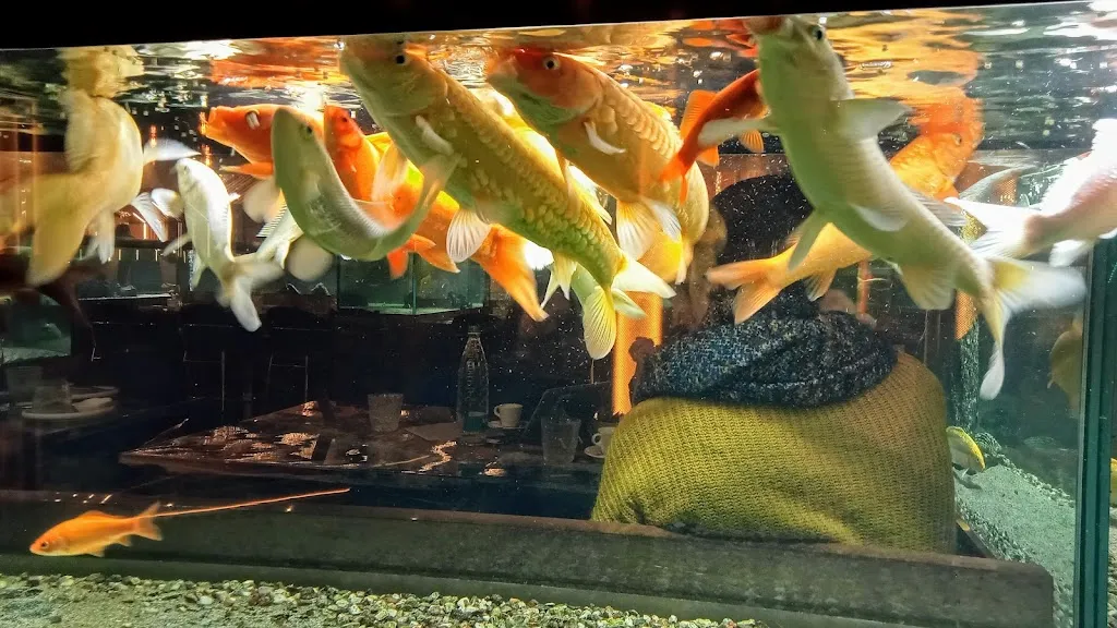 Menu_SushiTO_Leini_image_5