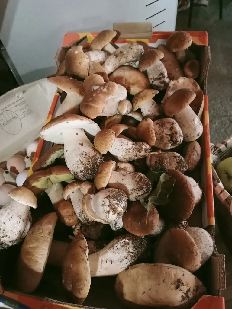 Menu_Trattoria Subrich_Ivrea_image_7