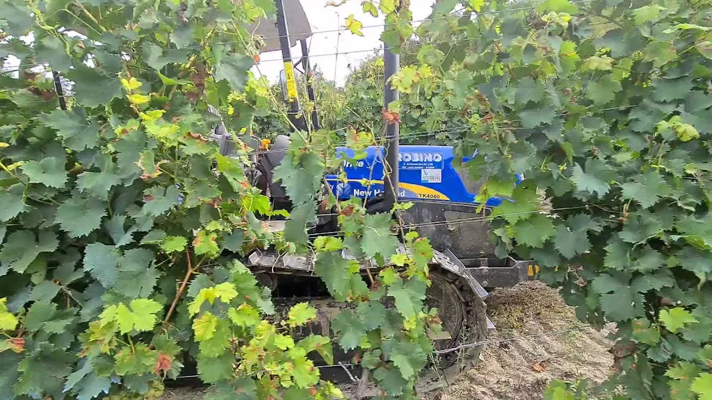 C Bianca Agriturismo_Loazzolo_slider_image_2