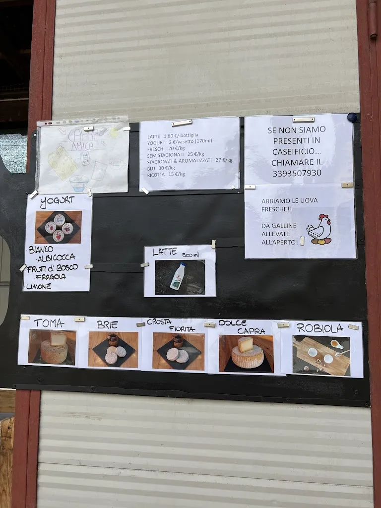 Emily Robinson_Azienda Agricola La Capramica di Roncati Marina_Litta Parodi-Cascinagrossa_review