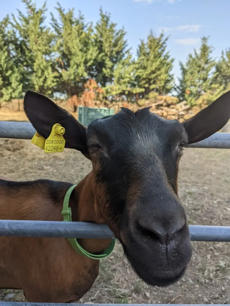 Azienda Agricola La Capramica di Roncati Marina_Litta Parodi-Cascinagrossa_slider_image_2