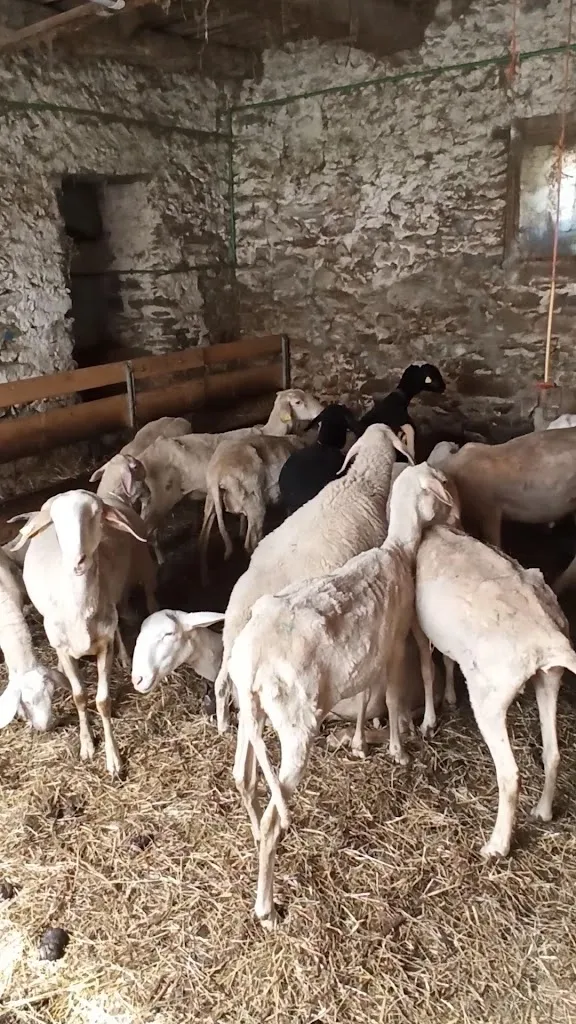 Agriturismo Santa Lucia_Limone Piemonte_slider_image_2