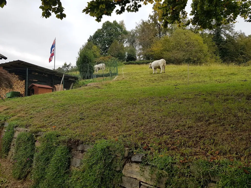 Rex Rex_Agriturismo La Coustera_Lusernetta_review