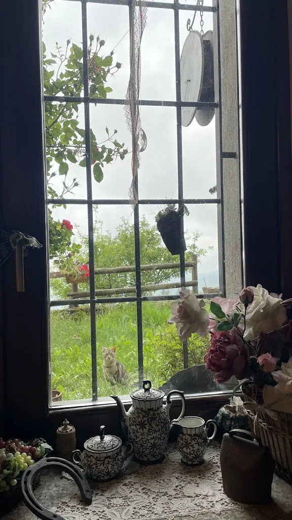 Alice Ozzola_Locanda Baitanella_Maglione-Crosa_recensione