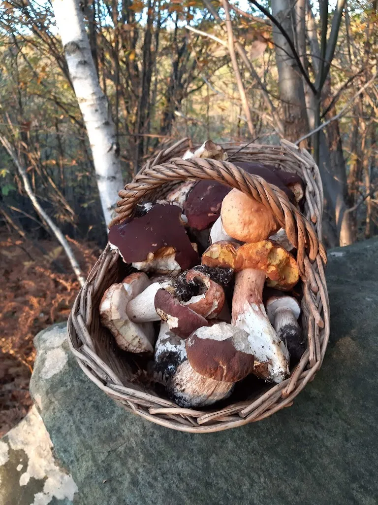 Menu_Bar Ristorante della Serra_Magnano_immagine_9