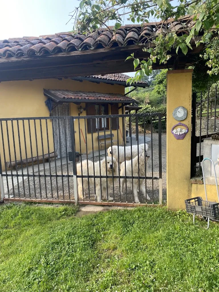 La Robinera restaurant in Magnano