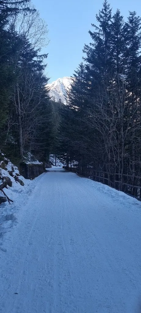 Teresa Mingione_Ristorante Alpino Bitti_Macugnaga_review