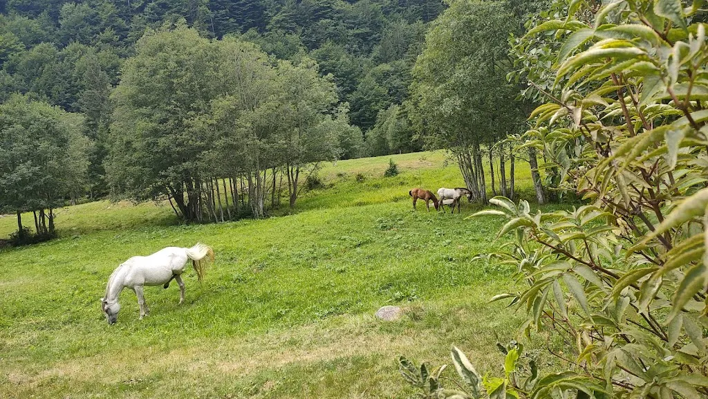 Sara Cappellaro_Circolo ARCI - Al 220 z'Makanà_Macugnaga_review