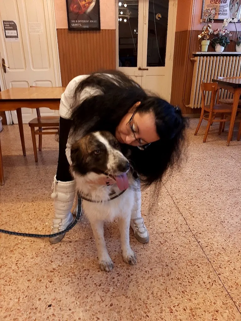 Bar Trattoria Del Centro_Mazze_slider_image_3